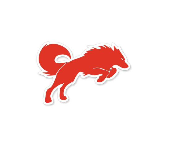 Digital marketing agency in Hyderabad